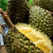 Durians World Expo