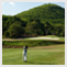 TAT Photo Gallery | Golf