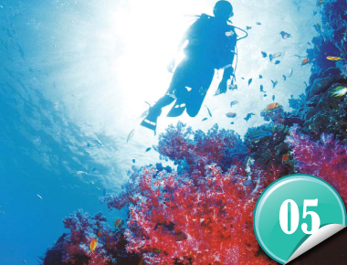 Chumphon Sea World Fair