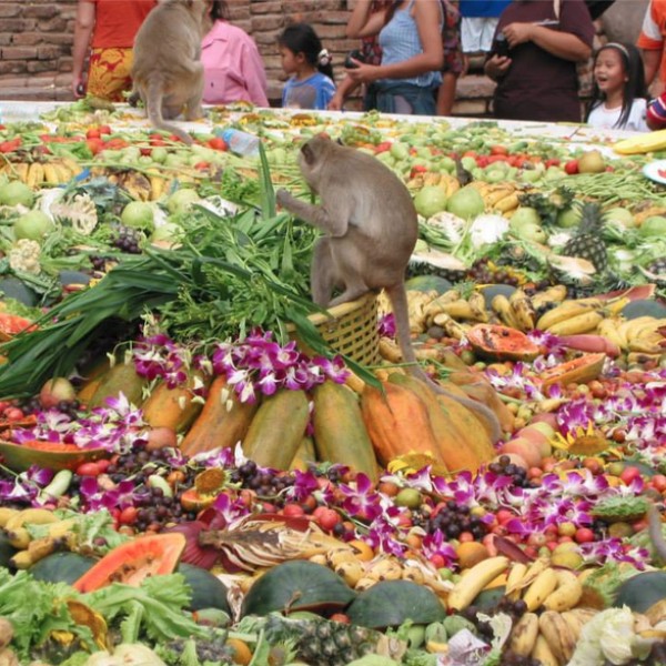 MONKEY BUFFET FESTIVAL