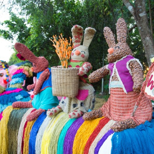 COLORS OF DOI TUNG FESTIVAL